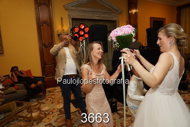 3663-1
